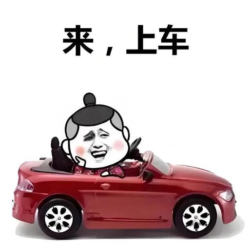 上个车