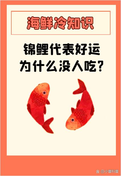 锦鲤的来历和历史截图