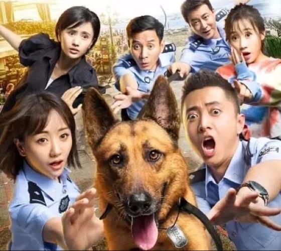 狗的电视剧大全国产