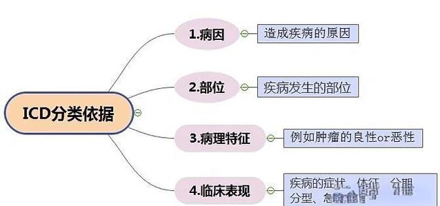 icd-10医保版