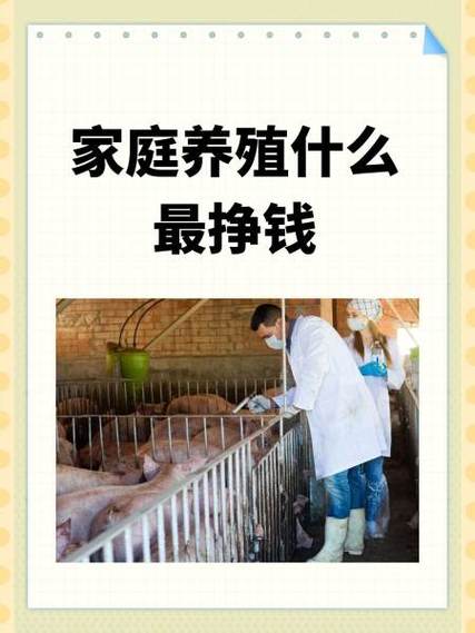 在家养殖什么能挣钱投资小的