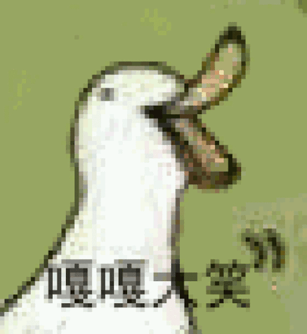 鸭鸭动态表情