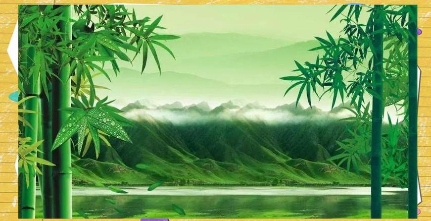 竹子的灵性有多强截图