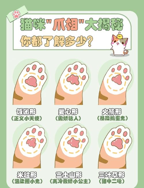 猫爪app的评价机制缩略图