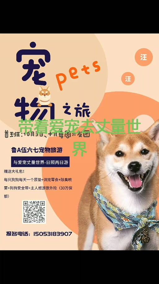 狗狗旅行团在哪里报名
