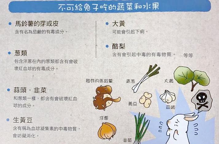 兔子的功效与作用禁忌图标