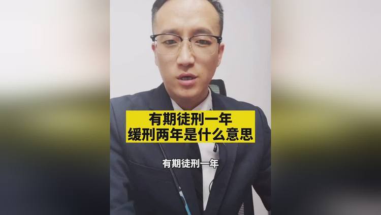 有期徒刑6个月缓刑一年是什么意思