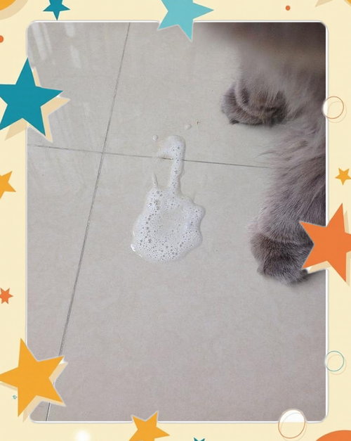 猫呕吐白色泡沫