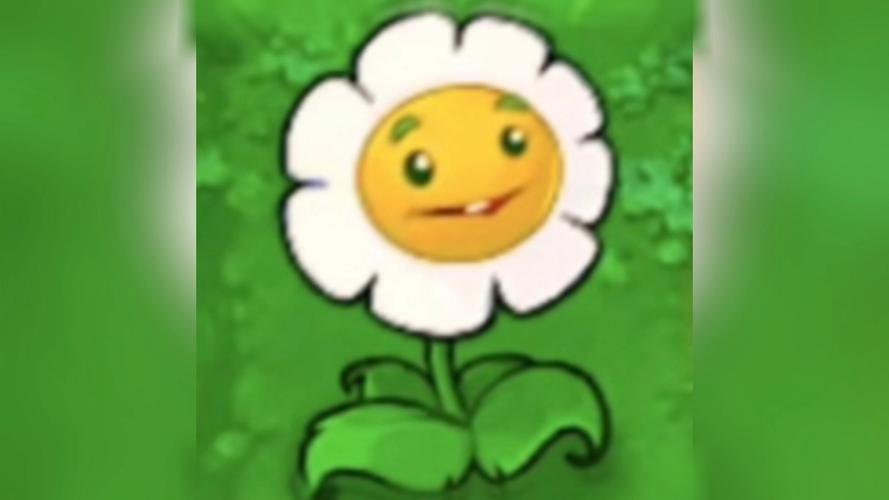 pvz金钱花wiki