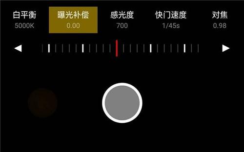 oppo相机专业模式怎么调游戏截图