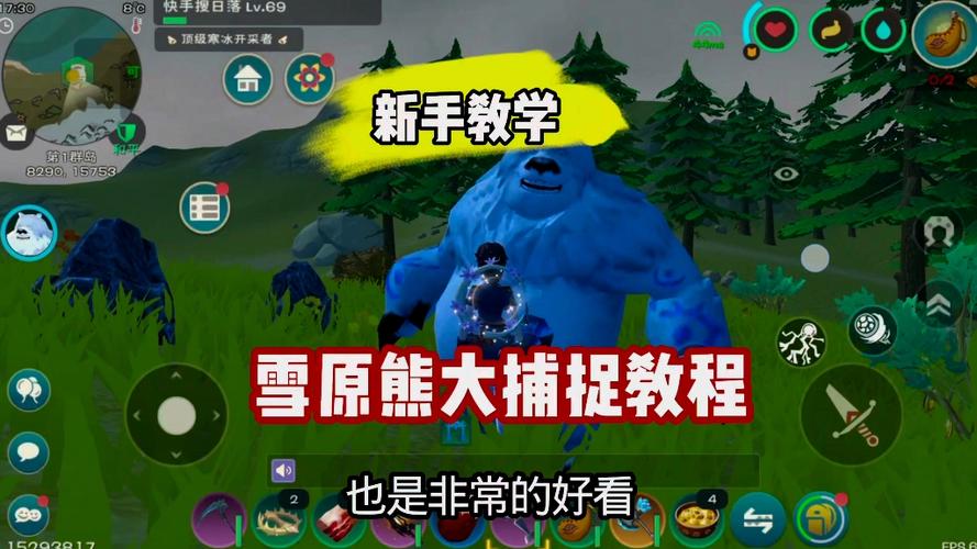 创造与魔法熊在哪里抓