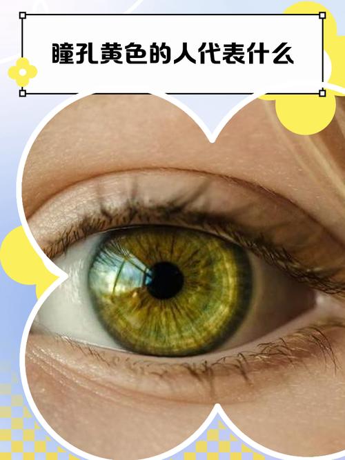 黄瞳神眼图标