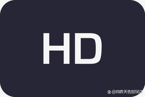oppo手机上面出现一个hd是什么意思