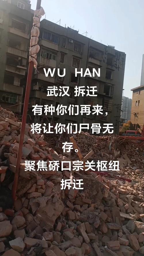 深圳龙岗盛平南这次拆得动吗游戏截图