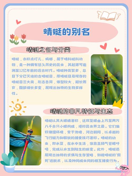 虫虫助手4.5.2蜻蜓