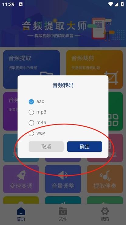 剪映提取的音频怎么导入手机