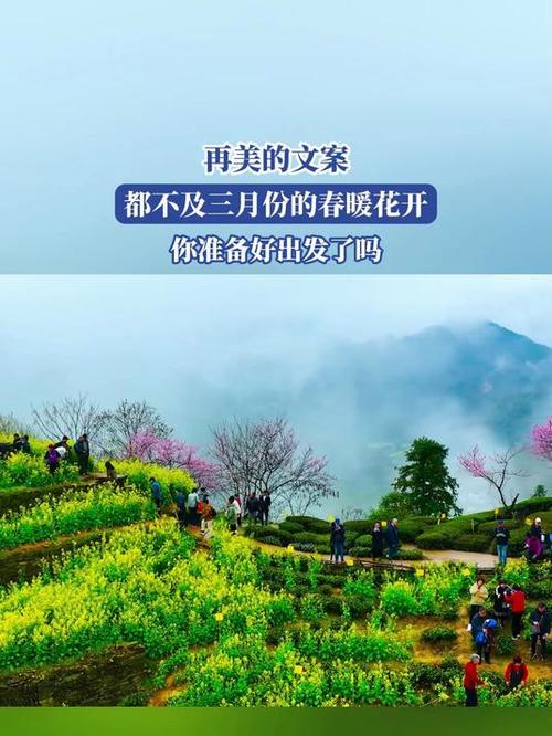 春暖花开的月份