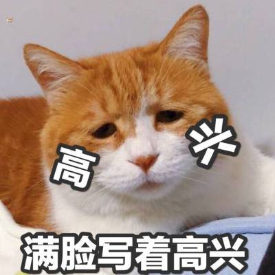 满脸写着高兴表情包