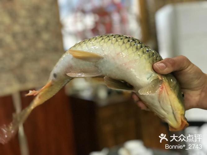 汤乘大赞