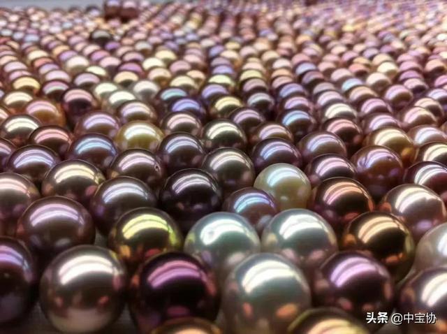 珍珠专卖店