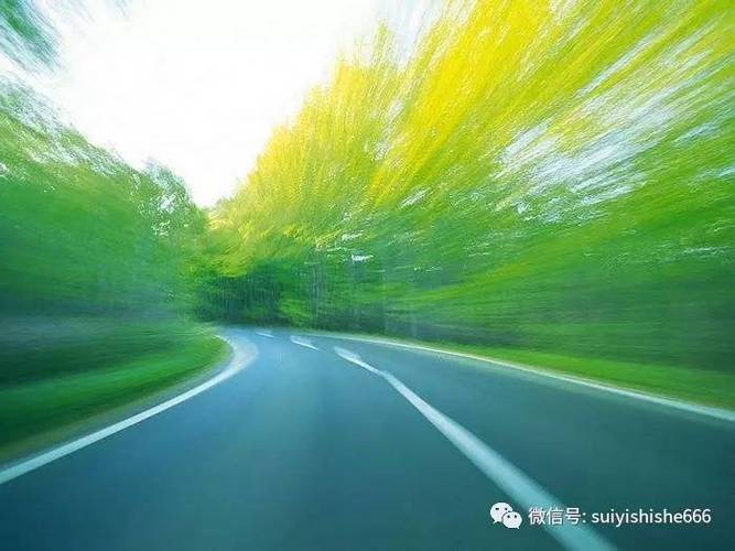 意路