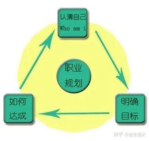 职业规划3000字截图