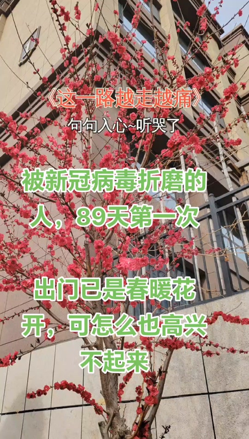 手机直接转发的病毒说说