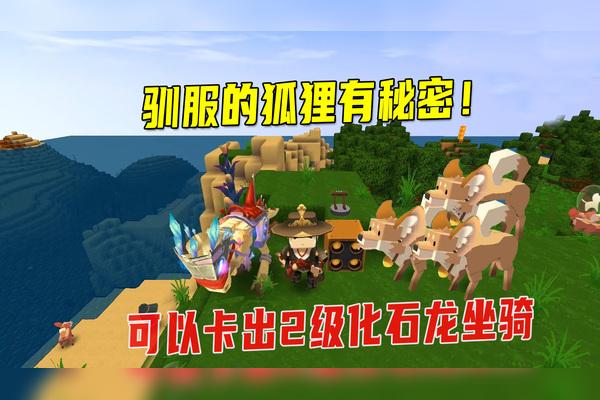 二级化石龙的激活码是多少截图