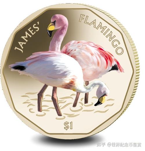 火烈鸟硬币