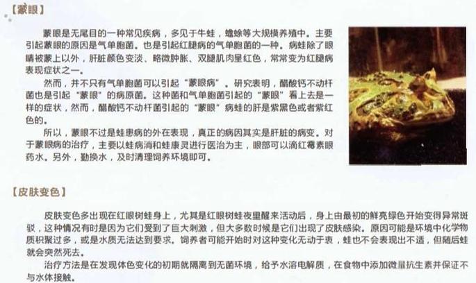 养角蛙需要注意什么缩略图