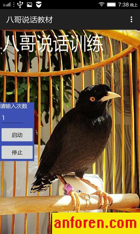 教八哥说话录音超长版