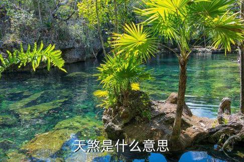 天煞日