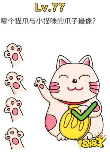 脑洞大师77图标