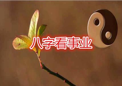 八字怎么看事业星