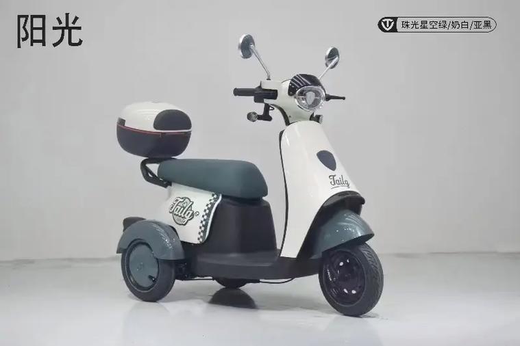 台铃三轮车官网旗舰店
