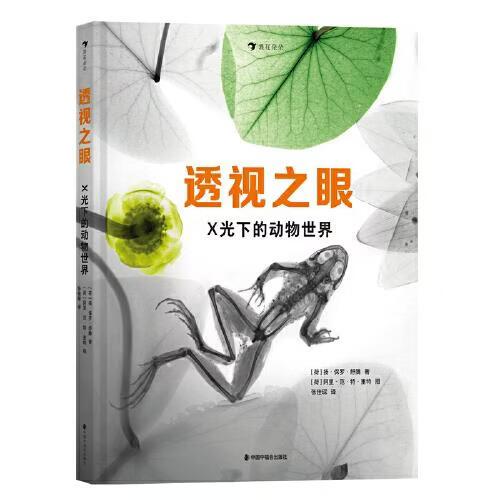 透视之眼图标