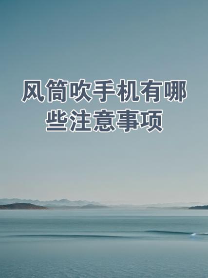 手机home键能用吹风机吹吗截图