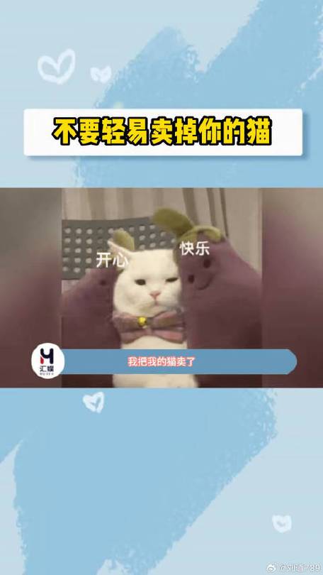 想把猫卖了