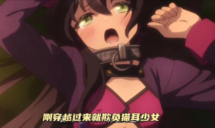 异界少女召唤术第一季动漫