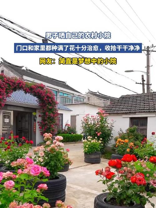 晒晒我的农村带小院