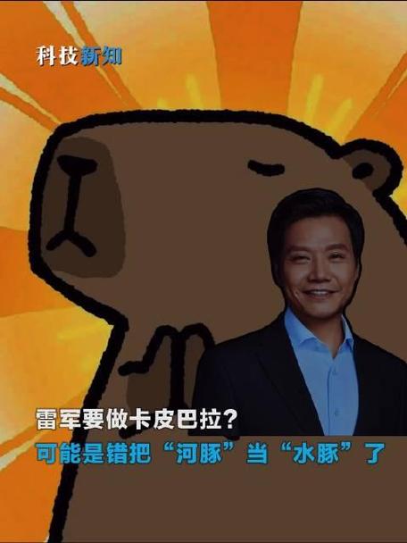 雷军搞笑经典语录游戏截图