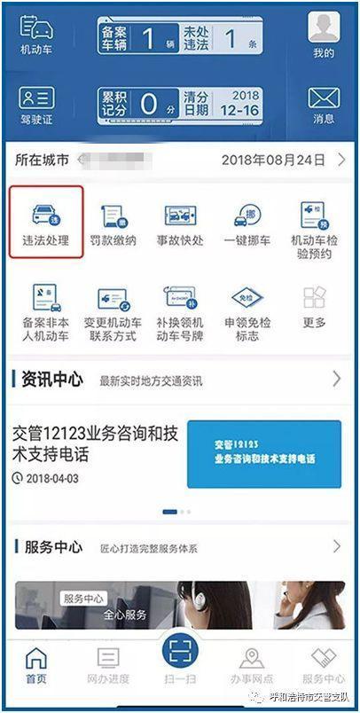 车辆违章缴费网上缴费游戏截图