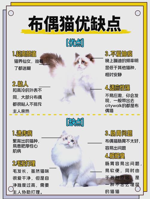 猫咪翻来覆去的原因截图