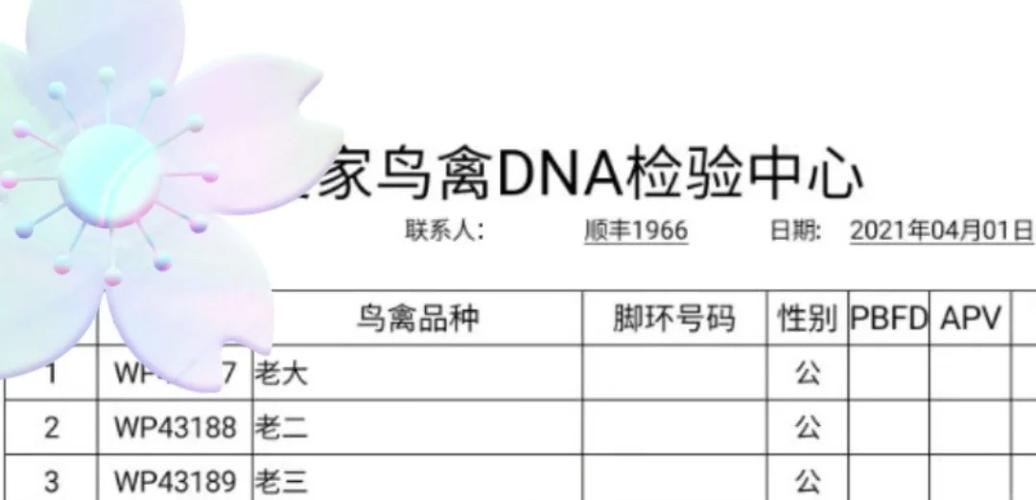 鹦鹉验卡注意事项