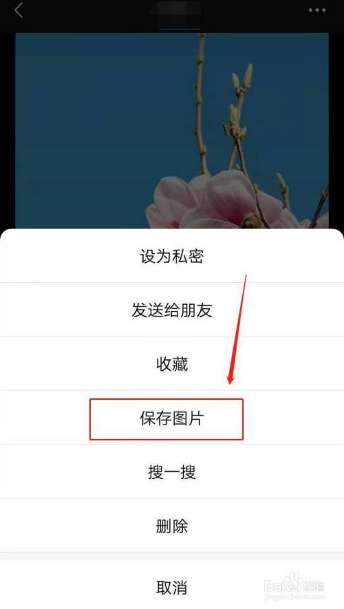 保存朋友圈图片图标