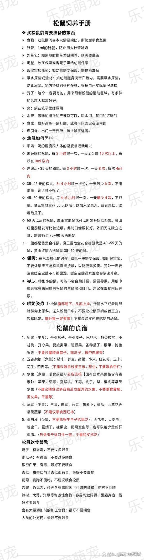 养松鼠要注意什么截图