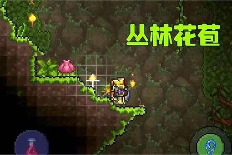 泰拉瑞亚花苞图标