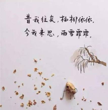 今我来思杨柳依依的翻译