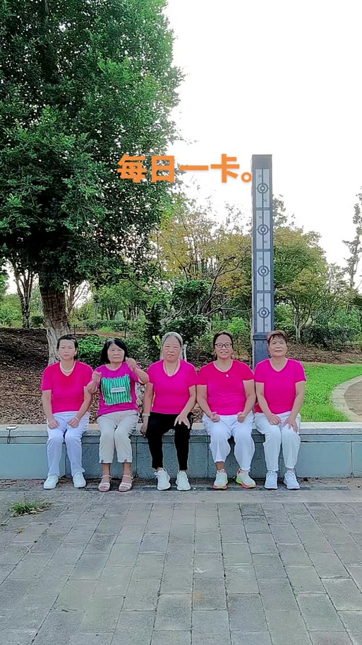 一群人一条路坚持一直走下去手势舞截图