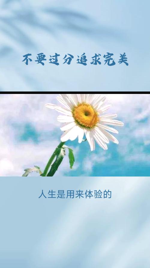 如何避免过度追求完美